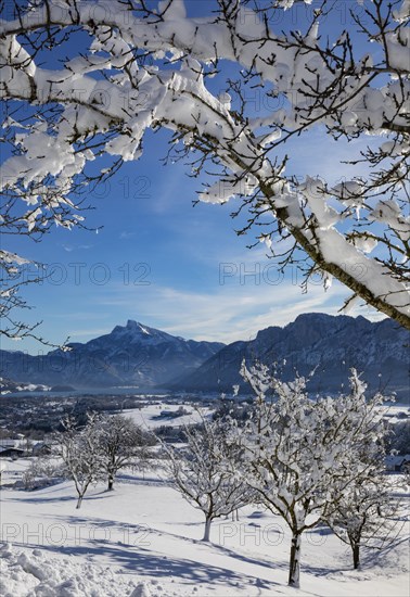 View of snow-covered Mondseeland with Schafberg and Drachenwand