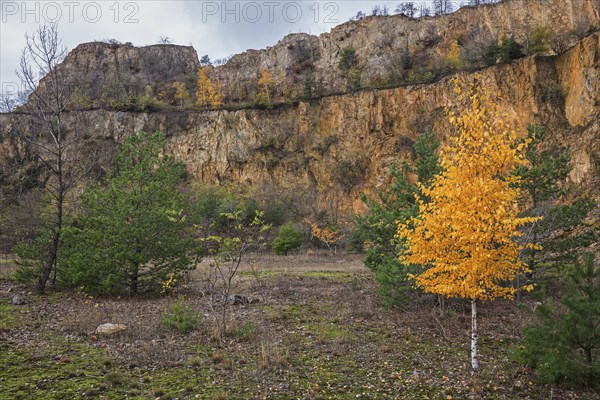 Disused porphyry quarry