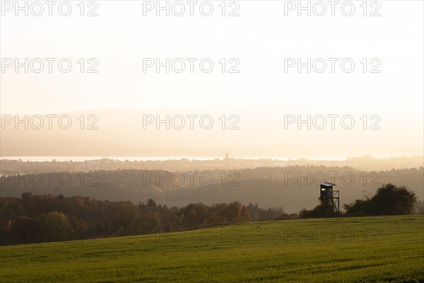 forest near Liggeringen