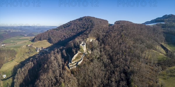 Homburg castle ruins