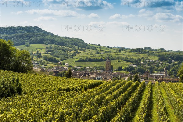 Arbois