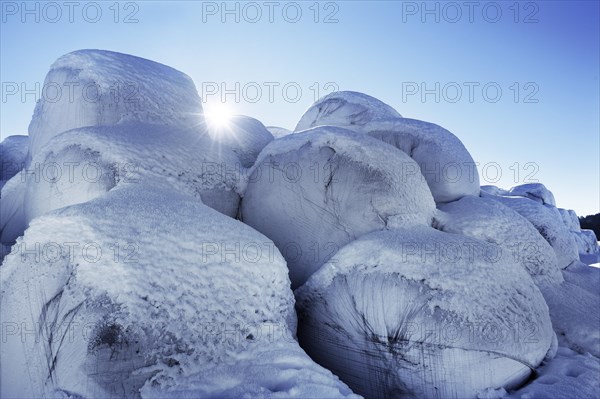 Snow-covered silage bales near Nellenbruck