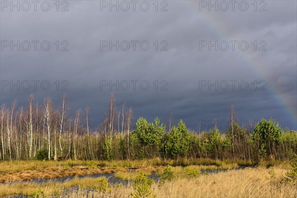 Autumn storm with rainbow in moor landscape