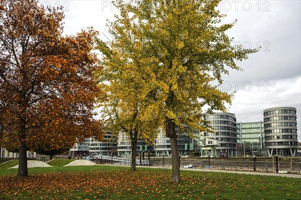 Garden of Memories with Five Boats office building