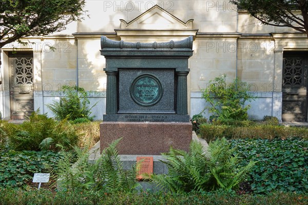Grave David Hansemann