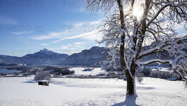 View of snow-covered Mondseeland with Schafberg and Drachenwand