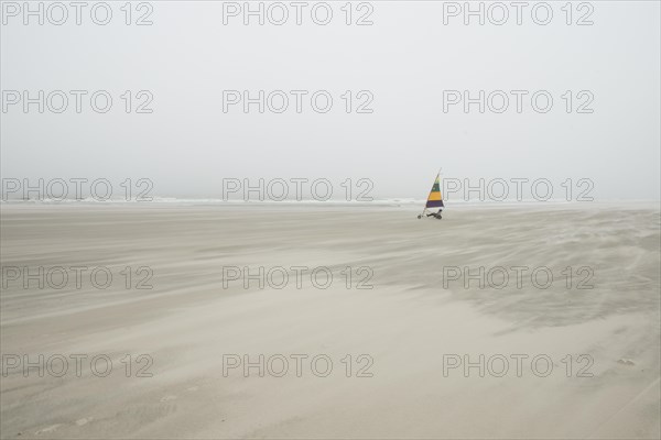 Beach sailer