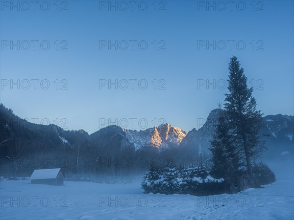 Winter landscape in the fog