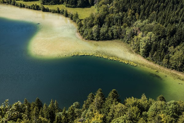 lake scenery