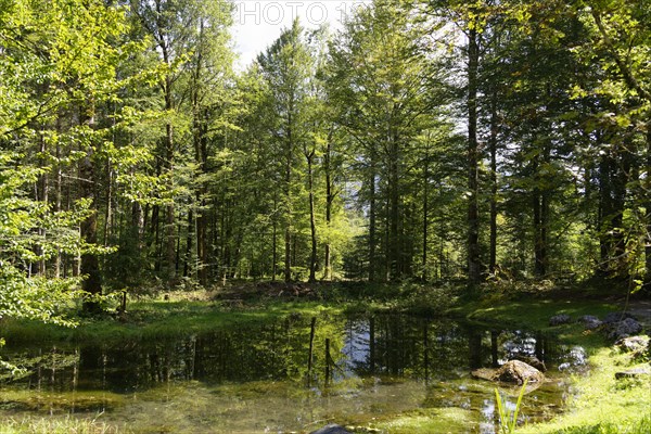 Linderhof Castle