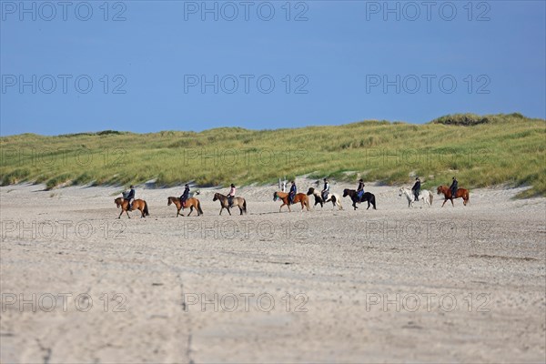 Riders in sand dunes