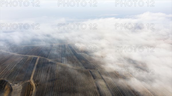 Winter landscape with fog