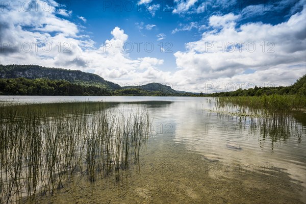 lake scenery