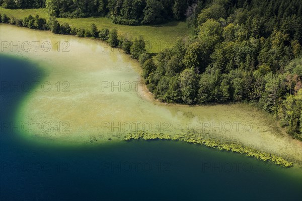 Lake landscape