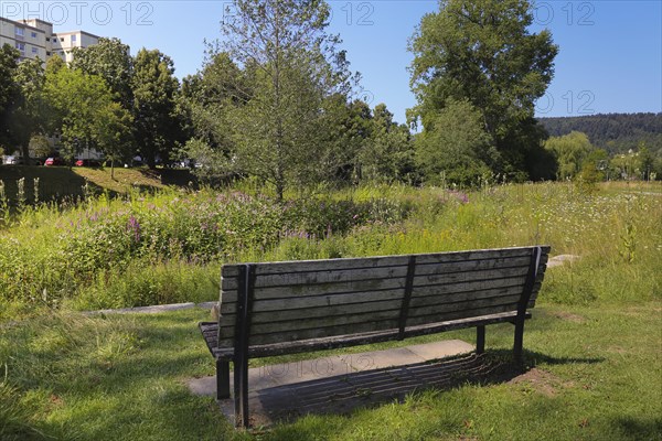 Wooden bench in the Donaupark