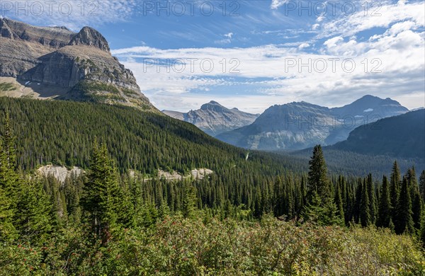 View over a valley with forest