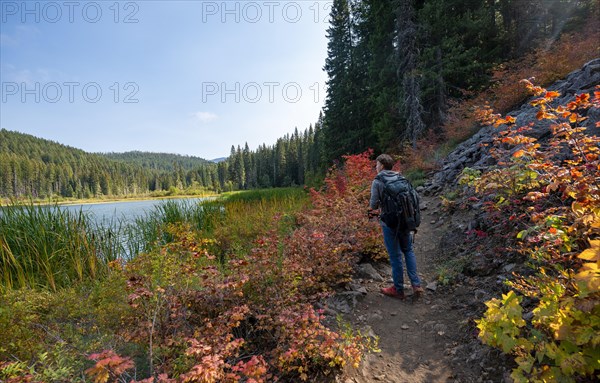 Hikers on a trail in the forest at Marion Lake