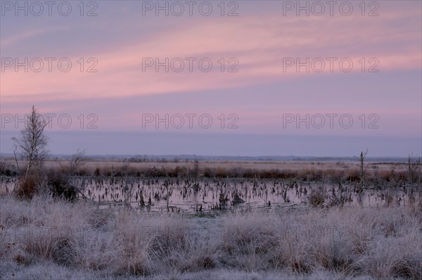 Goldenstedter Moor