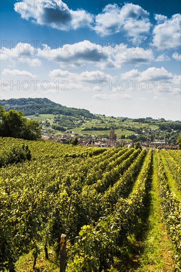 Arbois