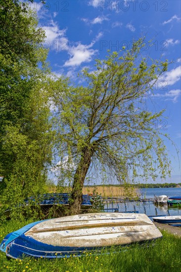 Old wooden boat lying on the meadow by the lake