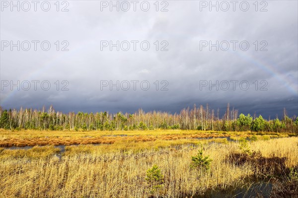 Autumn storm with rainbow in moor landscape