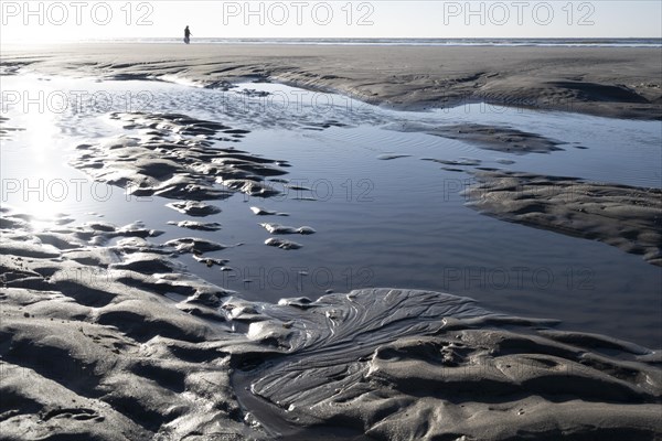 Walkers on the beach at low tide with tide pools