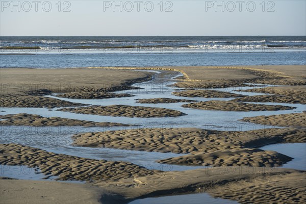 Sandy beach beach at low tide with tide pools