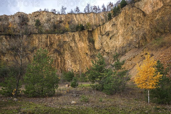 Disused porphyry quarry