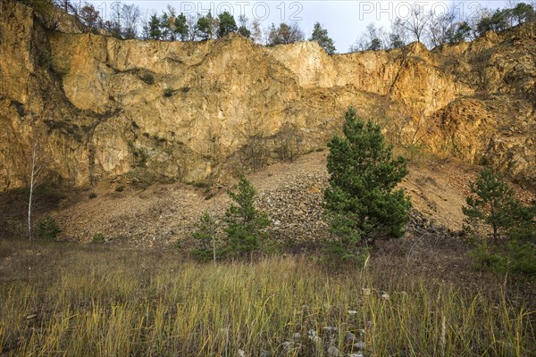 Disused porphyry quarry