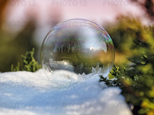 Freezing soap bubble with ice crystals on snow