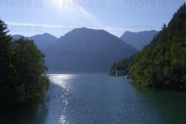 Plansee