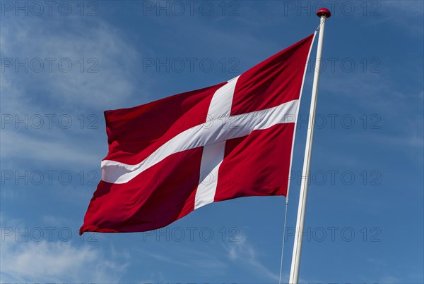 The Danish flag