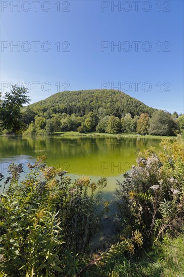 Limestone tuff landscape