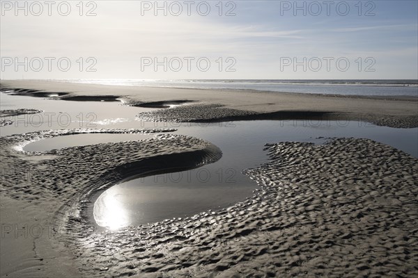 Sandy beach beach at low tide with tide pools