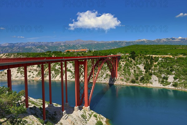 Maslenica Bridge