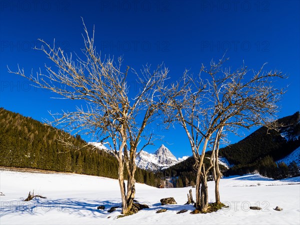 Admonter Kaibling in the Gesaeuse National Park