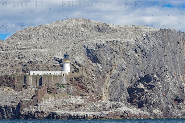 Lighthouse and cliffs