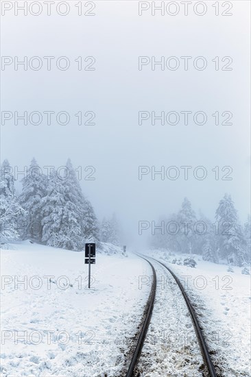 Railway tracks of the Brockenbahn in snowy landscape