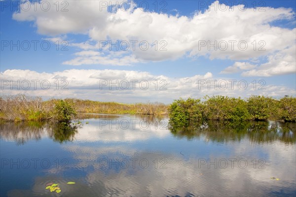 Anhinga Trail