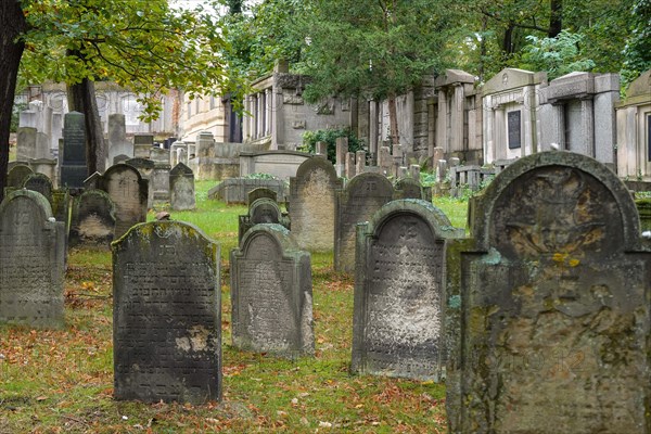 Jewish Cemetery