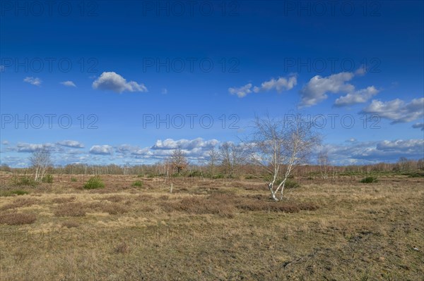 Heinz Sielmanns Naturlandschaft