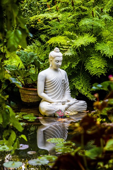 Buddha Seduto