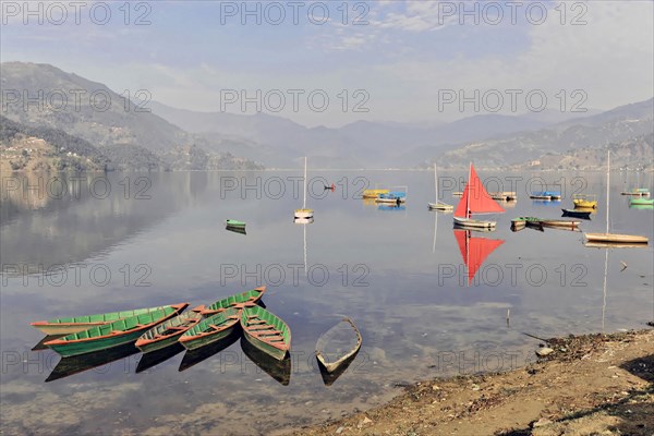 Rowing boats