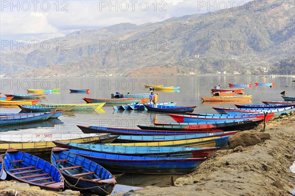 Rowing boats