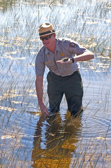 Ranger explains the swampland