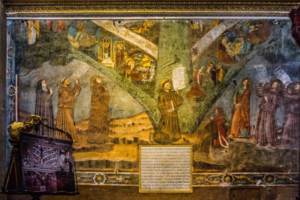 Frescoes: Tree of Life of Jesus Christ in the Cathedral of Santa Maria Maggiore