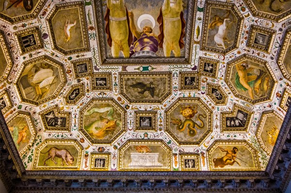 Bartolomeo Ridofi: Ceiling painting Room of the Fermament