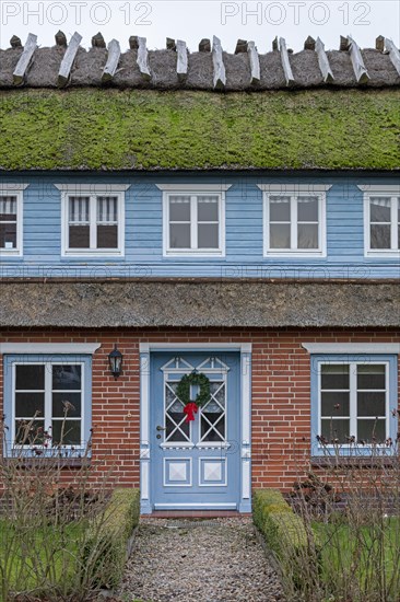 Thatched roof house