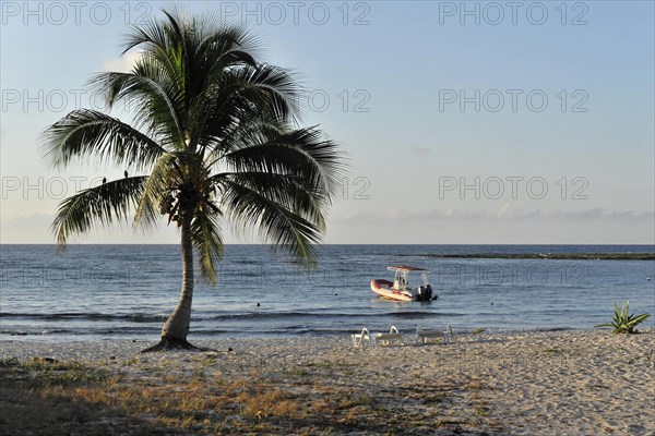 Morning on the beach