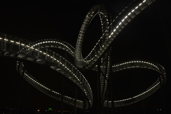 Landmark Tiger & Turtle - Magic Mountain